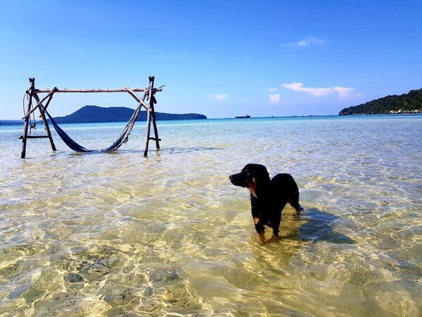 Beach - Mangrive bungalows in wonderful Koh rongsamloem island saracen bay (Preah Sihanouk)
