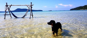 Mangrive bungalows in wonderful Koh rongsamloem island saracen bay