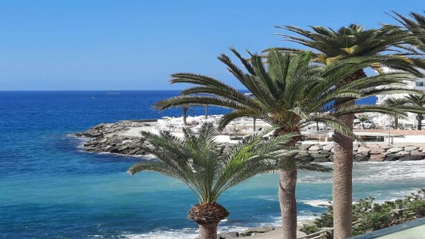 A coastal view with palm trees, a rocky shoreline, and a clear blue sea. - Apartment in Playa de Mogán by the Beach (Mogán)