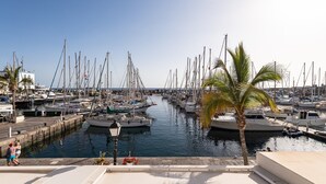 A marina with numerous boats docked along the waterfront, a palm tree, and a building with a white facade.