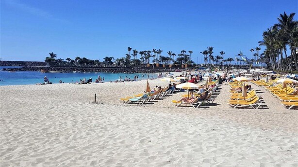 A beach with rows of sun loungers and umbrellas, palm trees, and a clear blue sky. - Apartment in Playa de Mogán with Sea Views (Mogán)