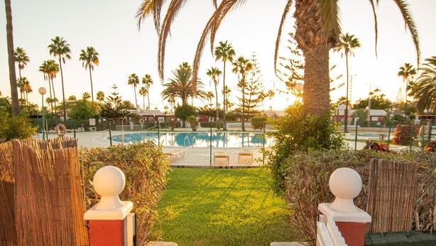 A pool area with palm trees and a fence. - Bungalow in Maspalomas near Golf & Beach (San Bartolomé de Tirajana)