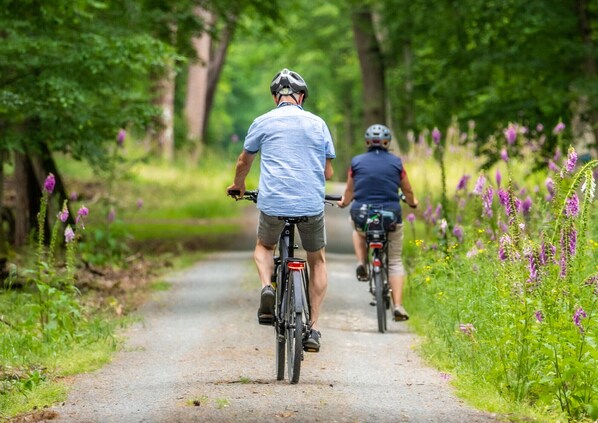 Dos ciclistas en un camino pavimentado rodeado de follaje y flores moradas.