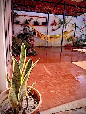 Una planta en maceta con hojas grandes en un patio con suelo de baldosas, una hamaca y varias plantas colgantes.