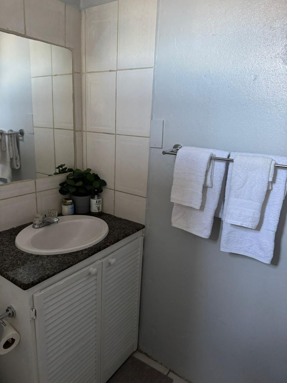 A bathroom with a white sink, a mirror, a towel rack with two towels, and a potted plant on the countertop.