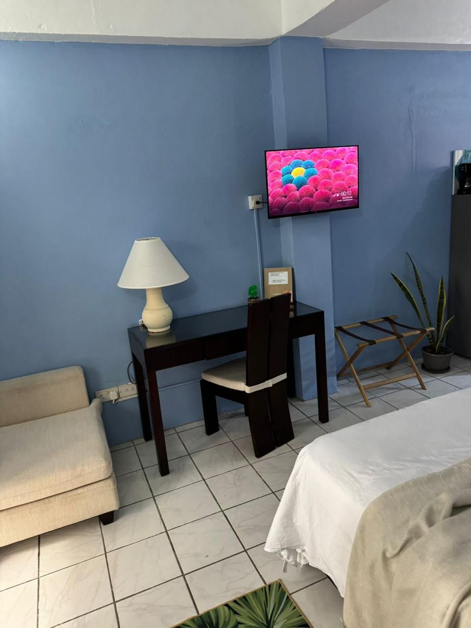 Une pièce comprenant un lit, un bureau avec une lampe, une chaise, un téléviseur fixé au mur et une plante en pot.