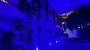 A building with a covered outdoor area, palm trees, and a staircase. - The Palm (Gros Islet)