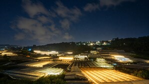 Un complejo de invernaderos de noche, con varias estructuras iluminadas.