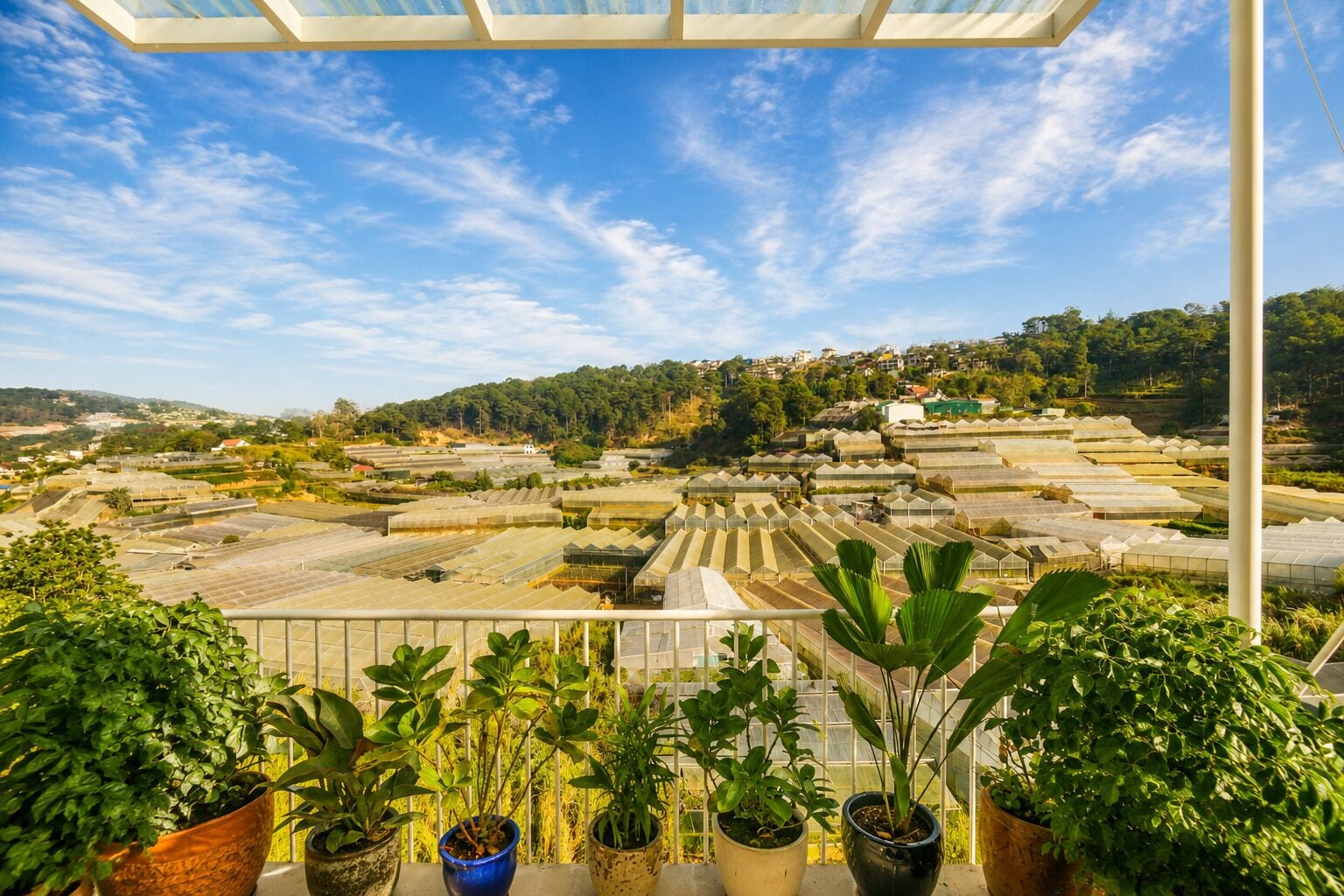 Signature Suite With Valley View | Terrace/patio