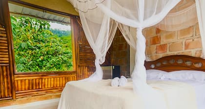 ROYAL COLIBRI ROYAL LAKE AND FOREST VIEW ROYAL COLIBRI ROYAL ROOM WITH PRIVATE DINING AREA