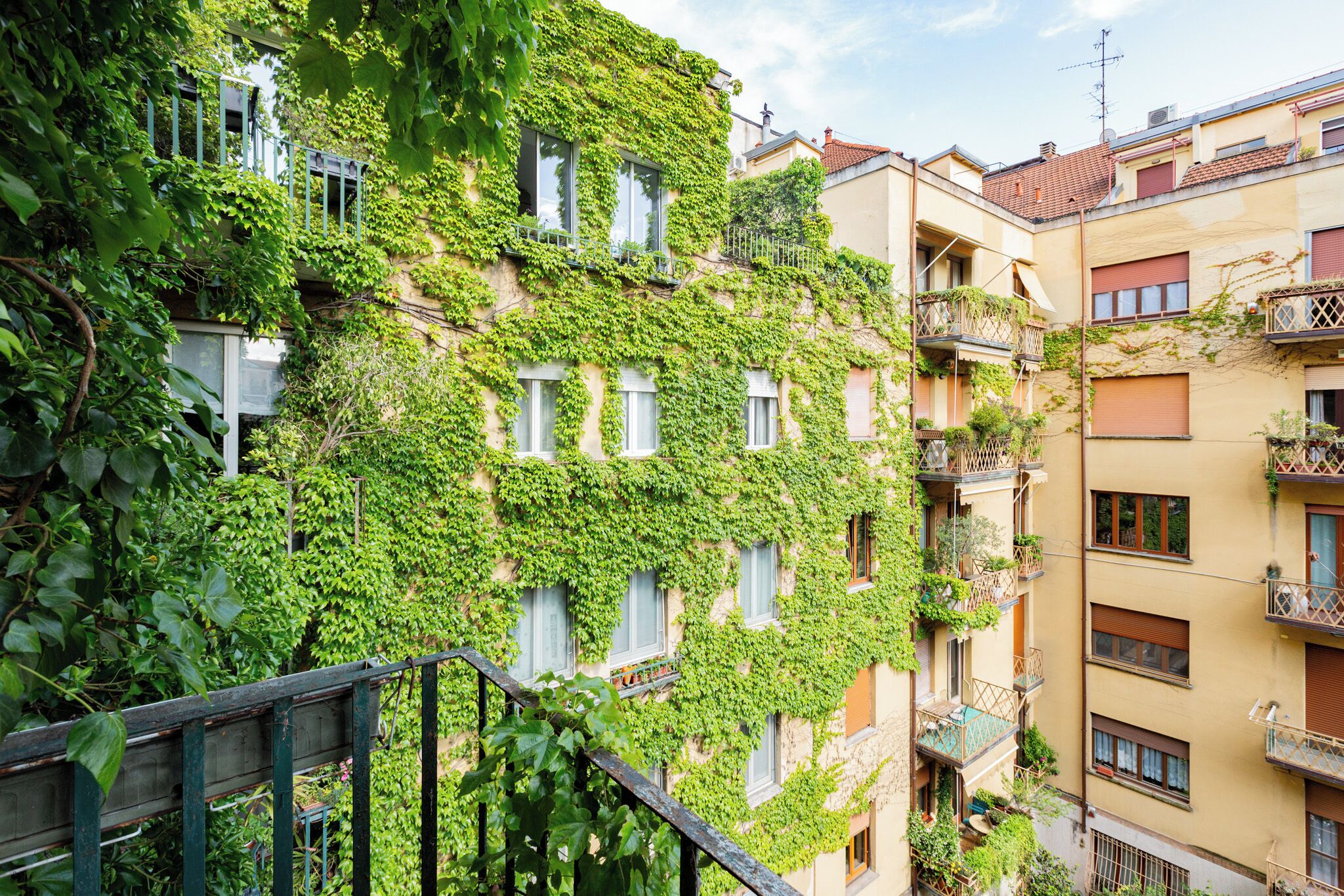 Parco della struttura