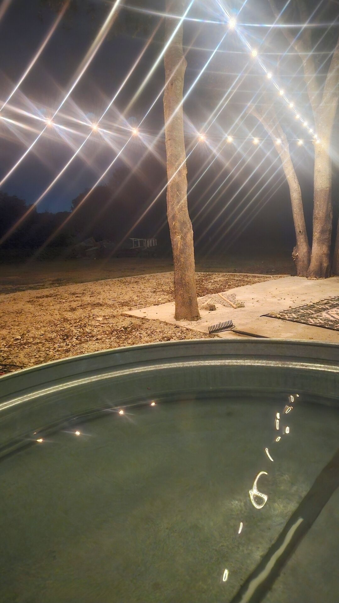 Une piscine offrant une vue dégagée sur l’eau, entourée d’arbres et bordée d’une zone sablonneuse.
