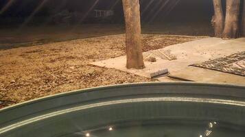 Une piscine offrant une vue dégagée sur l’eau, entourée d’arbres et bordée d’une zone sablonneuse.