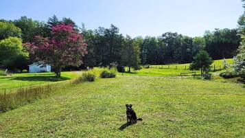 Áreas de la propiedad