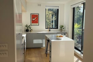 A modern kitchen with a central island, a window with a view of trees, and a poster on the wall.