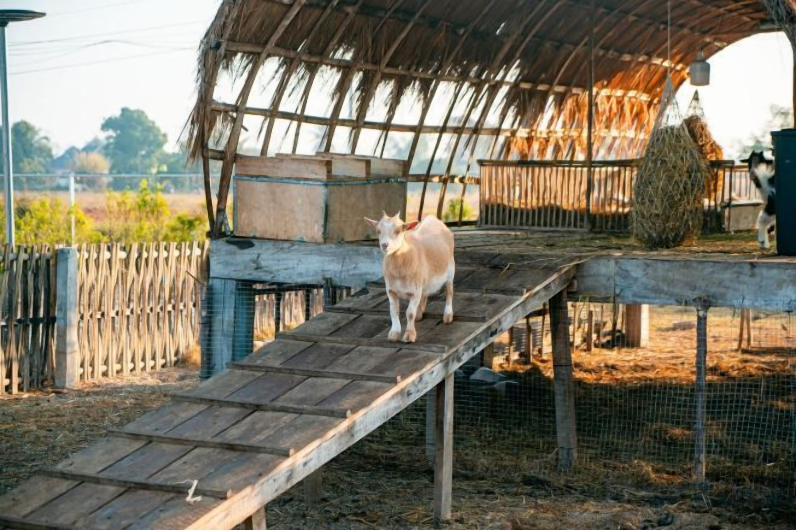 住宿地面