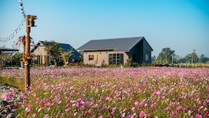 Een huis met een schuin dak en grote ramen, omringd door een veld met roze bloemen.