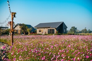 豪華獨棟房屋, 渡假村景觀 | 免費無線上網