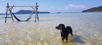 Beach front bungalow on the Island
