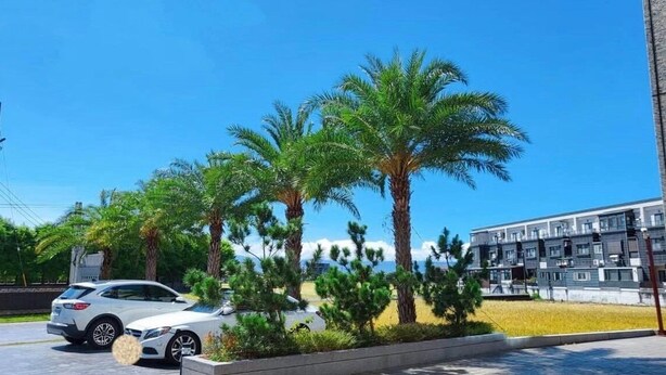 A parking lot with a white car, palm trees, and a modern building with balconies. - Aqua rooftop (Wujie)
