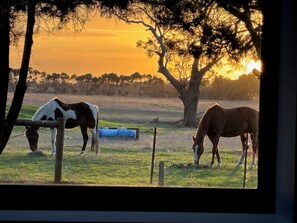 Uitzicht vanuit accommodatie