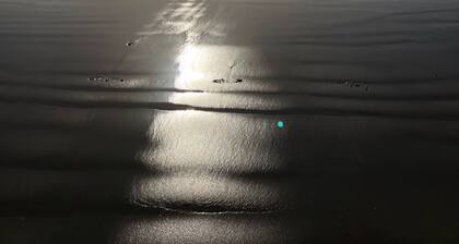 Cosy Bellbrae Farm Studio within pedalling distance of surfcoast beaches