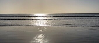 Cosy Bellbrae Farm Studio within pedalling distance of surfcoast beaches