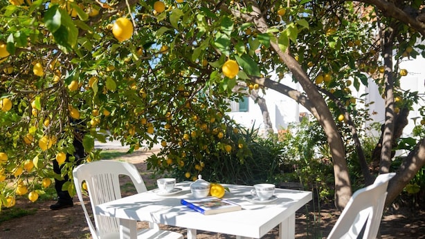 Une table installée à l’extérieur, avec des chaises, un livre et une théière.
