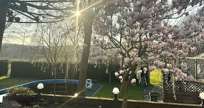 Warm Welcome in Limburg.