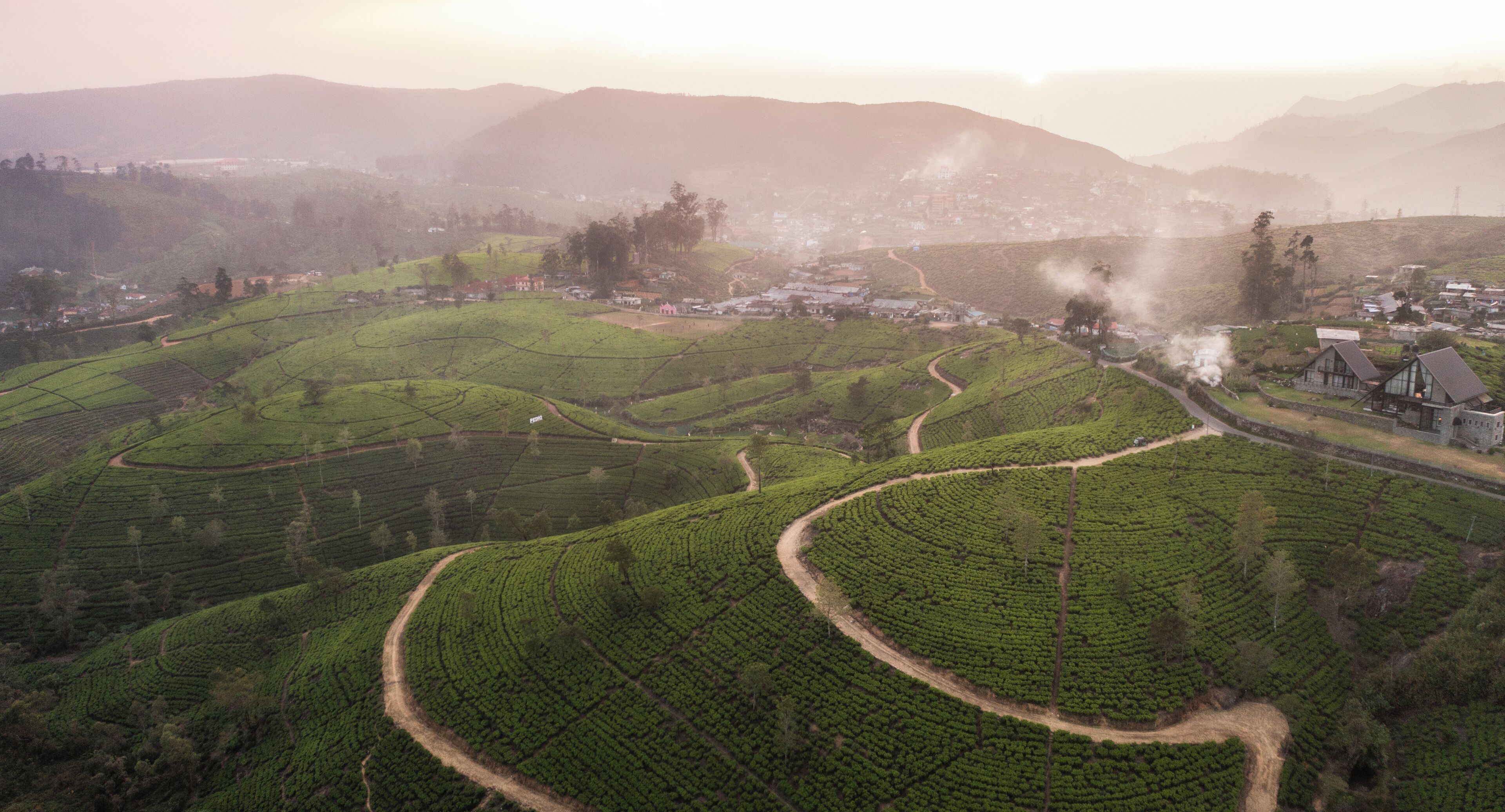 Un paysage rural avec des plantations de thé en terrasses et un petit village.