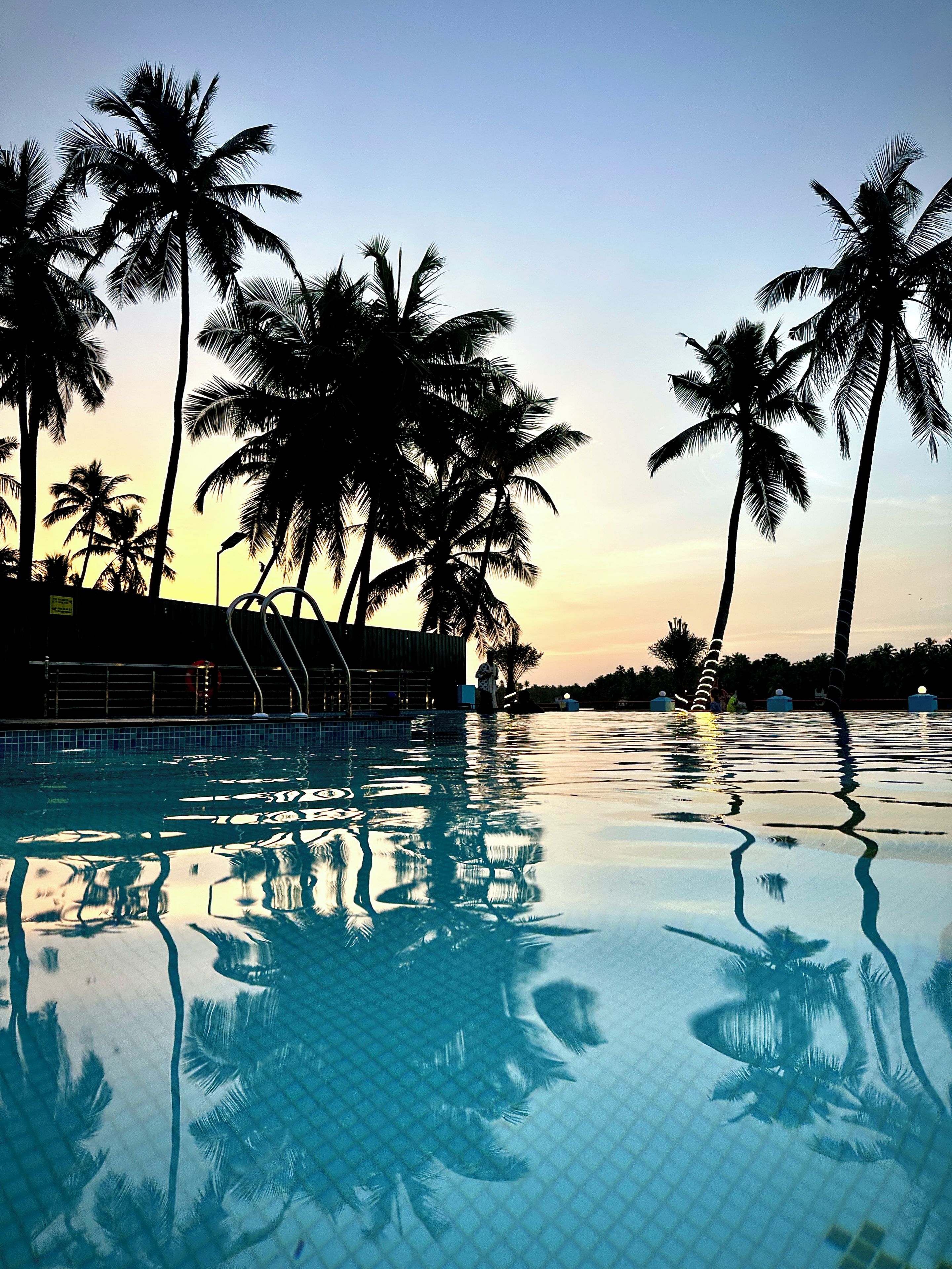Piscina com reflexos de palmeiras e céu claro.