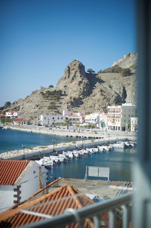 Vista del balcón
