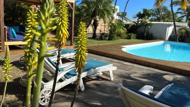 Un área junto a la piscina con sillones de descanso, una pérgola y palmeras.