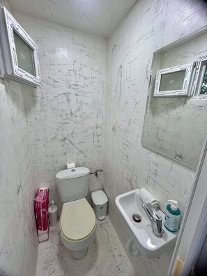 Shower, towels, toilet paper