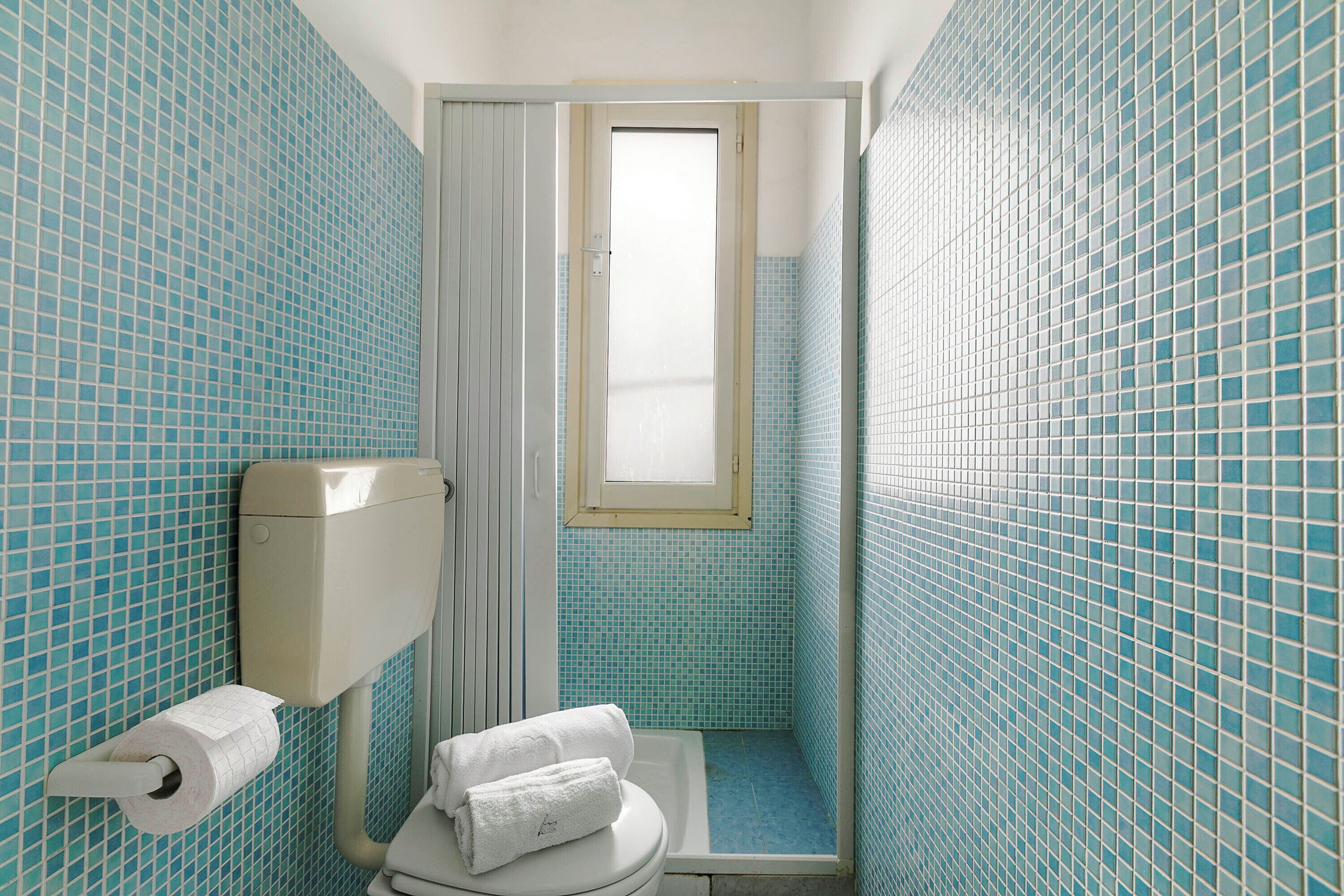 A bathroom with a toilet, a roll of toilet paper, a towel, and a window.