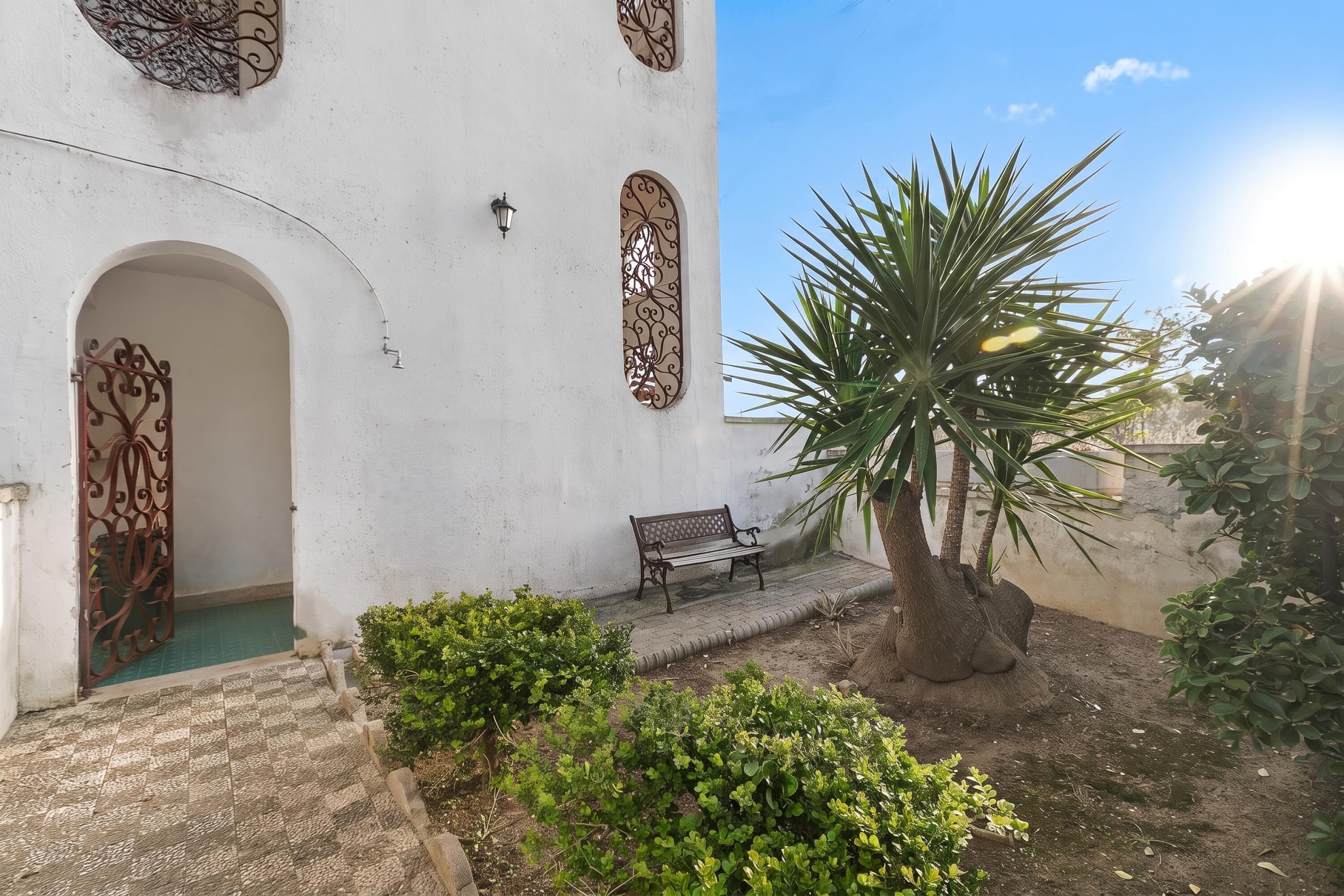A courtyard with a bench, a palm tree, and a white building with decorative ironwork.