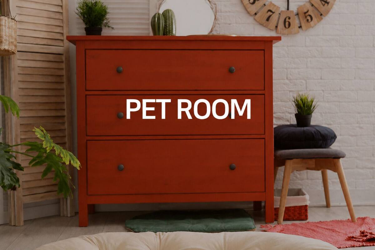 Ruby Room (Pet Friendly Room) | 高档床上用品、羽绒被、记忆海绵床垫、办公桌