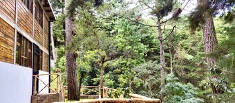Private Cabin: Bonfire & Barbecue in the Forest