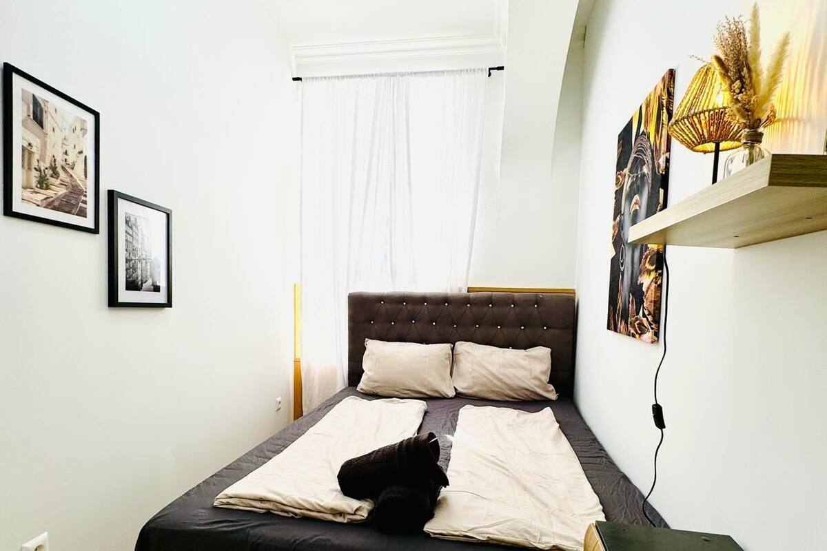A bedroom with a bed, a cat, a bedside table, and wall-mounted pictures.