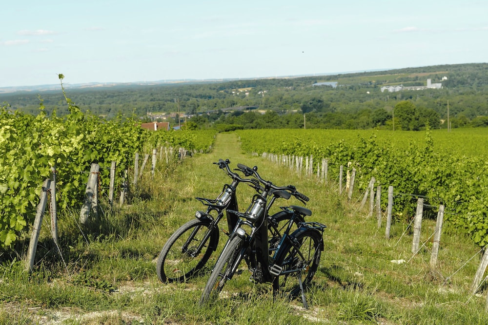 Les Hauts de Sancerre by null