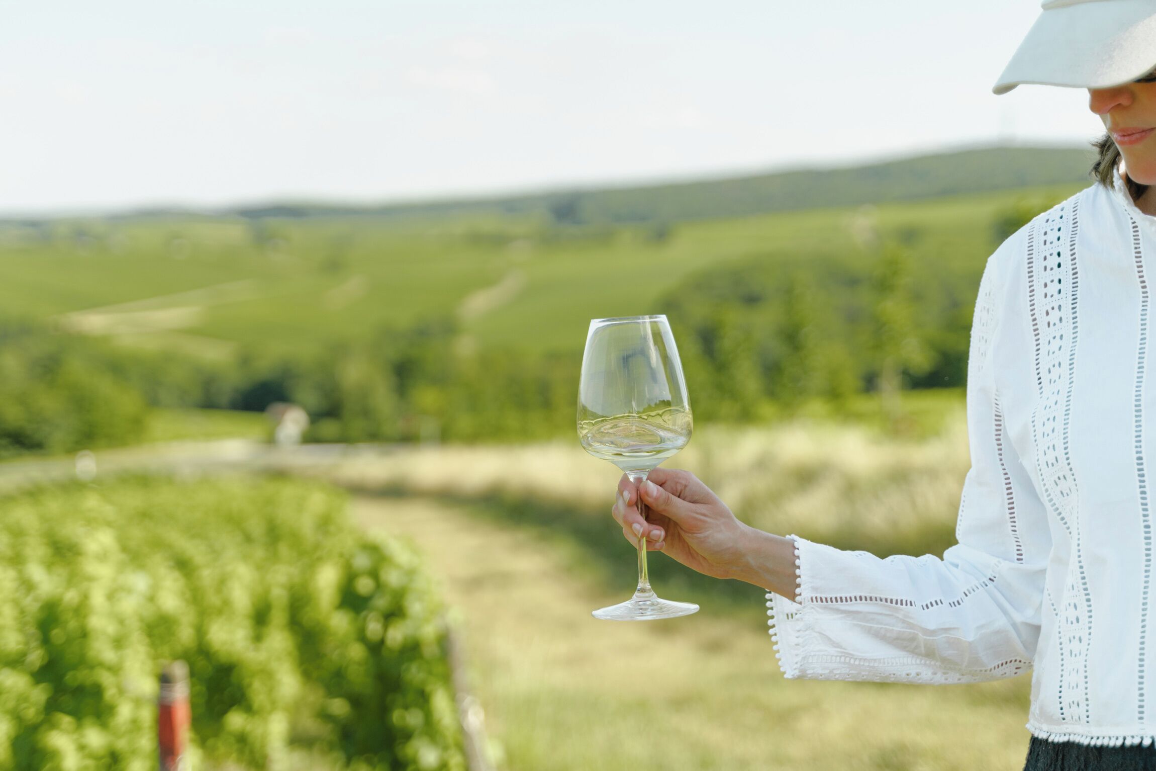 Una persona sosteniendo una copa de vino en un viñedo.