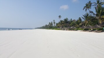 Una extensa playa de arena con palmeras y construcciones de techo de paja.