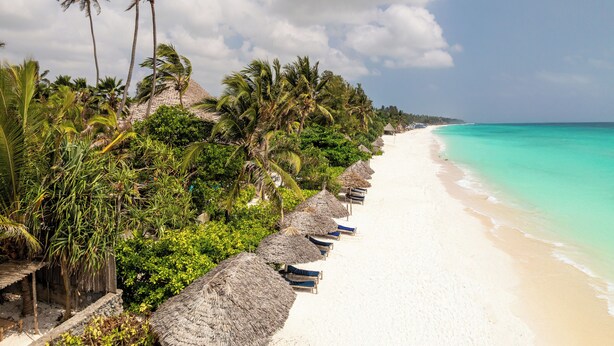 Une plage avec des constructions à toits de chaume et des palmiers.