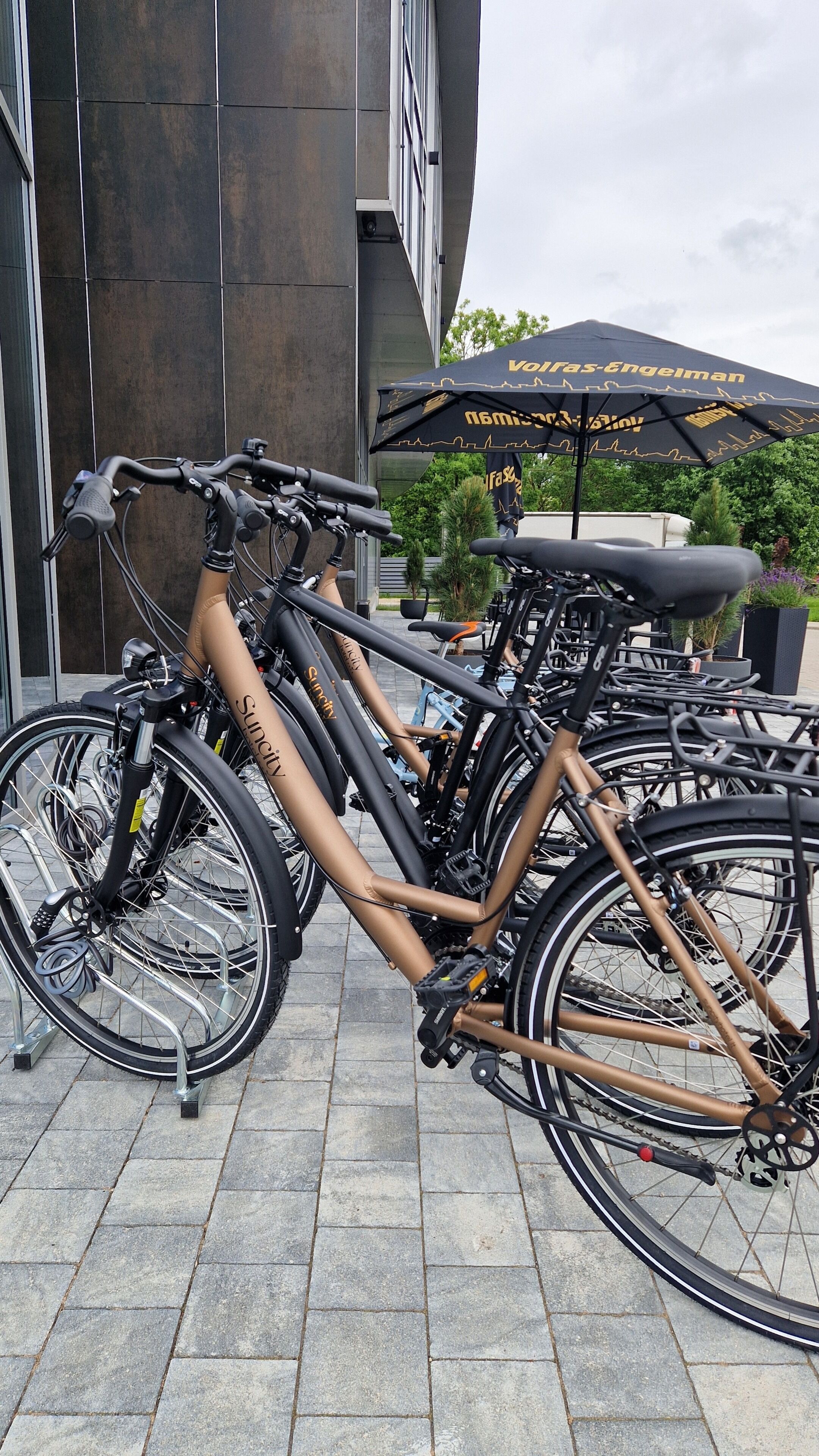 A row of bicycles parked outside a building with a large umbrella.
