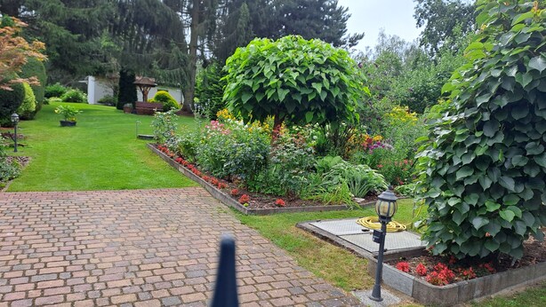 Um jardim com um caminho pavimentado, diversas plantas e um poste de luz.
