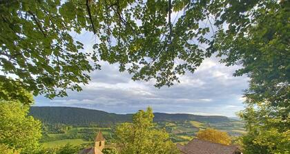 Large family home with character in authentic Lozère village