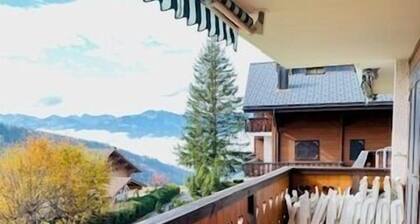 Asters B1 - bright 2 bedrooms close to the Gryon-Villars-Les Diablerets ski resort