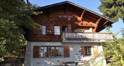 The chalet is located 200 m. from the Barboleuse gondolas linking the Villars-Gryon-Les Diablerets s