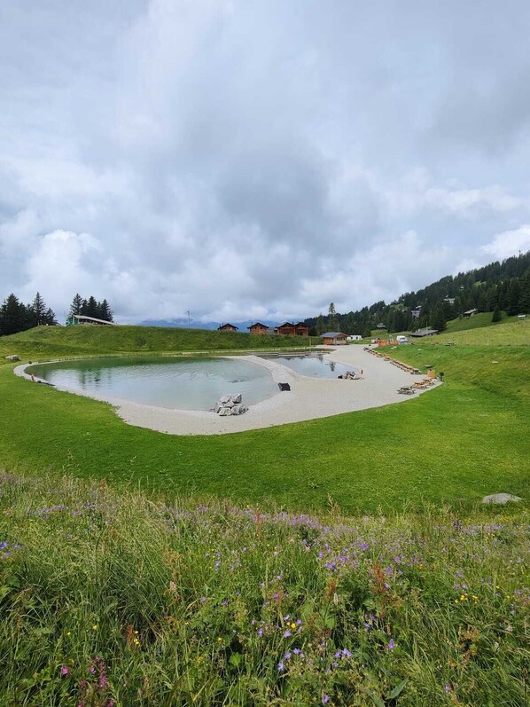 Beach - The chalet is located 150m from the start of the Barboleuse gondola, linking the Villars-Gryon-Les D (Gryon)