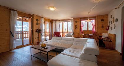 The apartment is located 150m from the Place de la Barboleuse in Gryon, close to all amenities, the